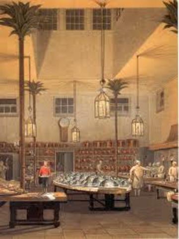 20th Century Changes