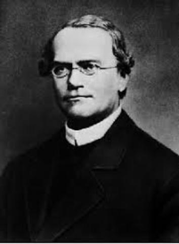 Gregor Mendel