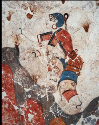 Young Girl Gathering Saffron Crocus Flowers; Thera