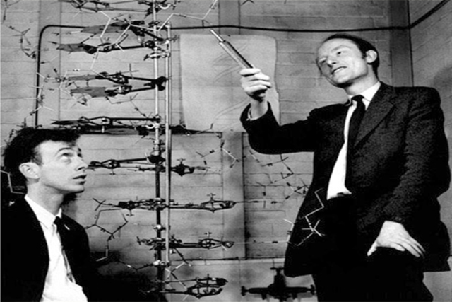 James Watson & Francis Crick