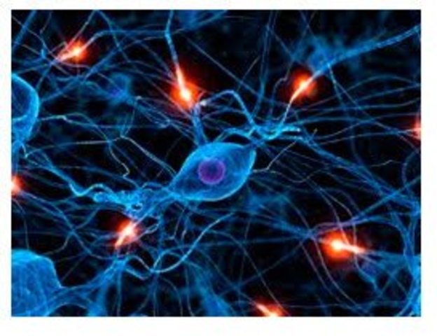 Primera red informática