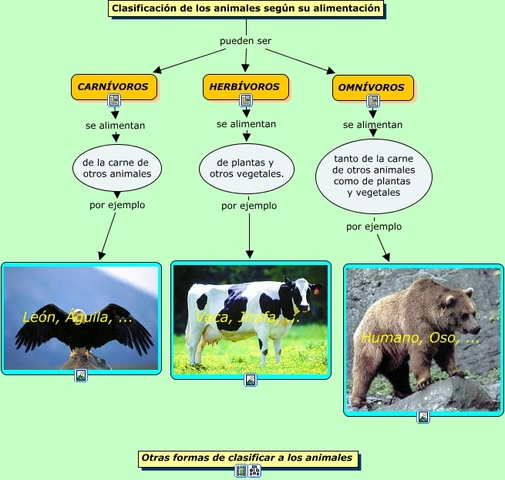 Clasificación de los animales según su alimentación en la actualidad