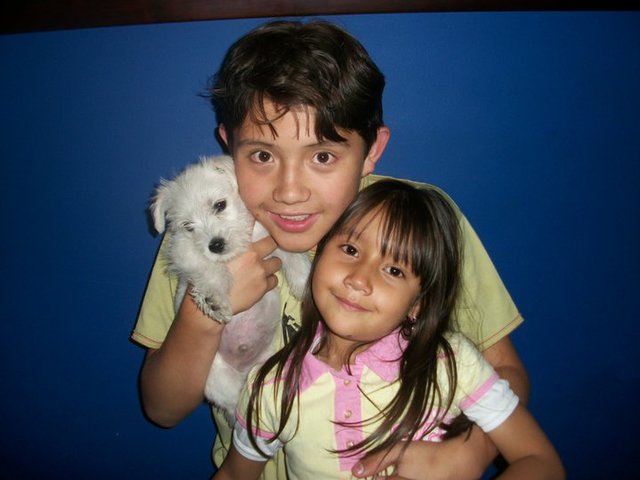 llegada de un nuevo amiguito