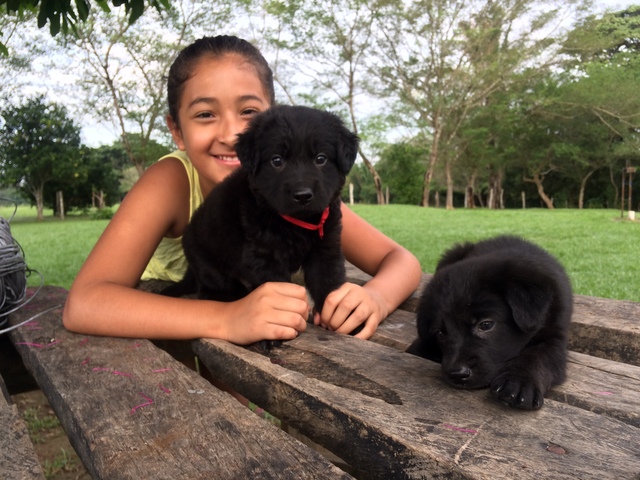 Tuve 2 mascotas más...