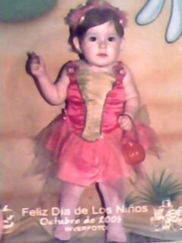 Mi primer año