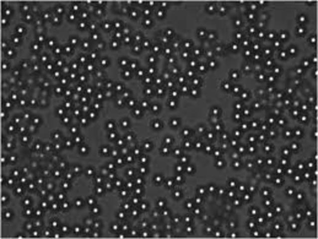 Difraccion de la luz