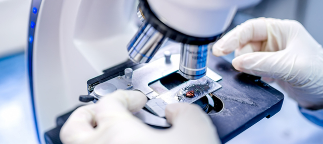 Avances A La Medicina