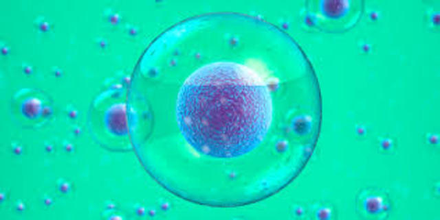 Ingeniería genética