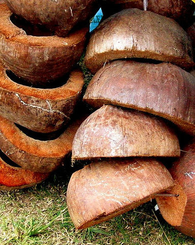 2016 - Preindustrial/Industrial Technology