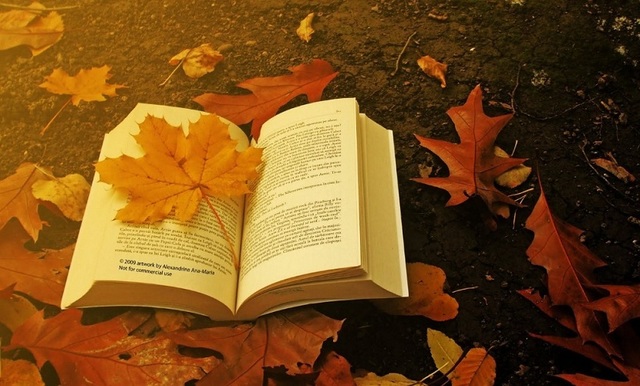 LA POESÍA ROMÁNTICA