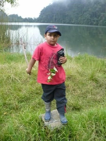 SEMBRE MI PRIMER ARBOL