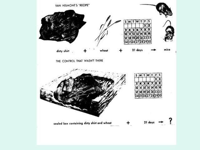 Theory  of spontaneous generation