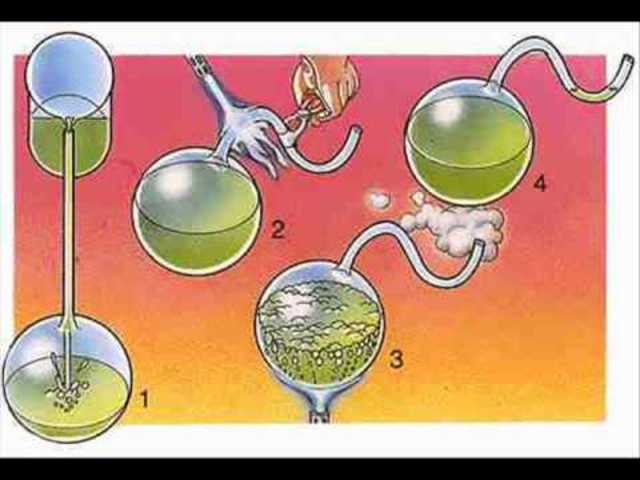 Theory of Louis Pasteur