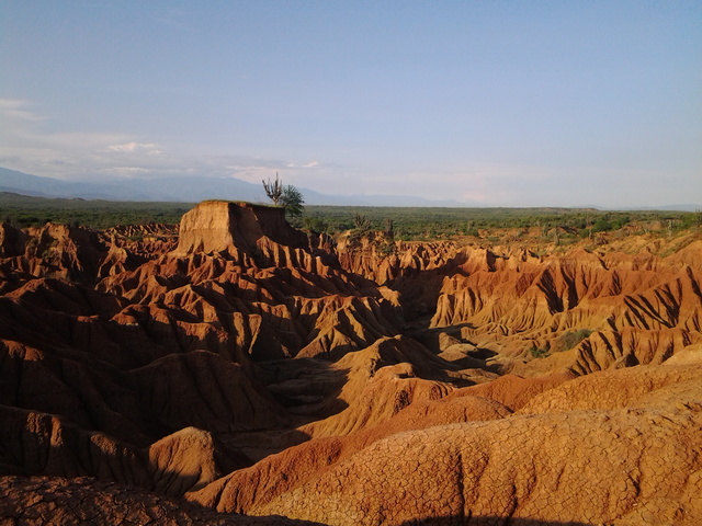 DESERT OF THE TATACOA