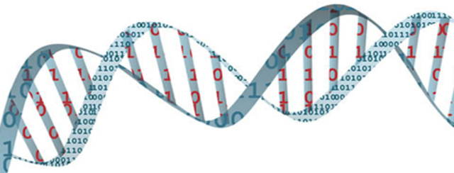 Demostración de que el ADN puede ser un medio computacional