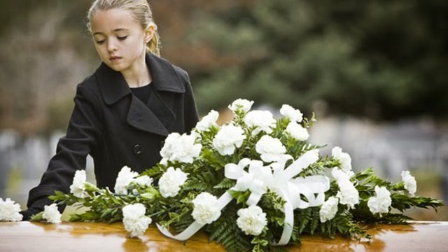 Novena Etapa De La Vida