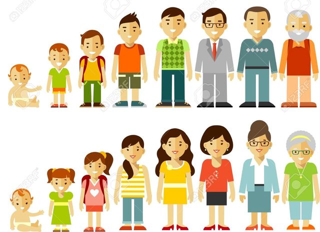 Video Resumen Etapas De La Vida