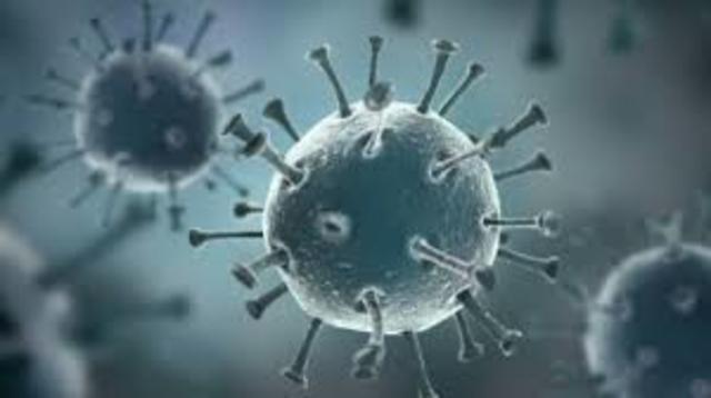 Observa Virus en Microscopio Electronico