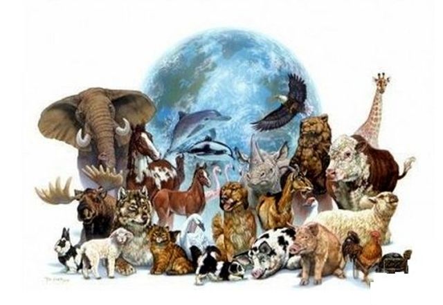 Aristóteles y Theophrastus