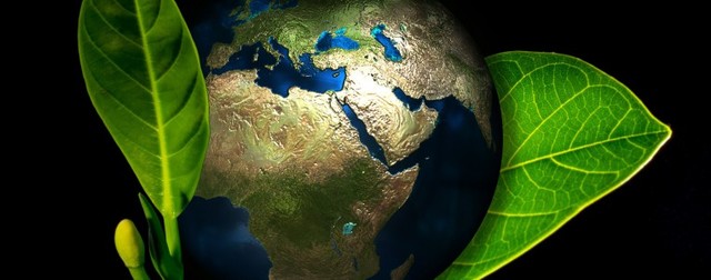 Preocupaciones sobre el medio ambiente