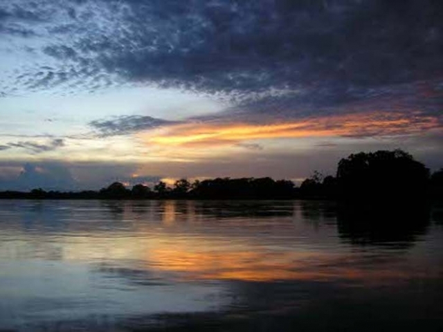 Rodrigo Alvares Polamino