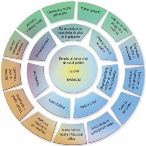 5. APS renovada: Valores, principios y elementos