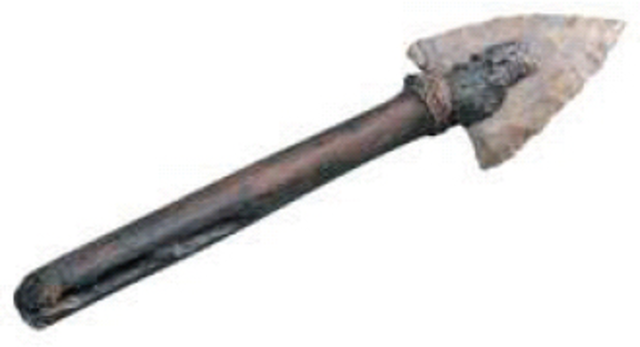 Cenolítico inferior