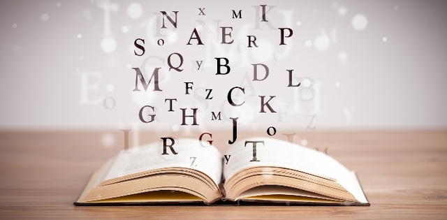 Limites del lenguaje normativo