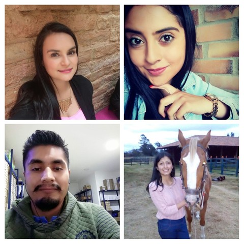 Estadistica 201N - Admon-UDEC