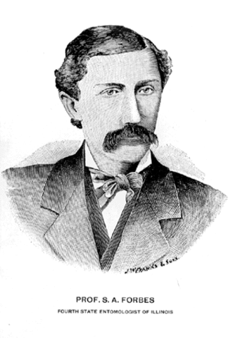 STEPHEN ALFRED FORBES