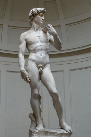David, Michelangelo, Renaissance, 1504 C.E.