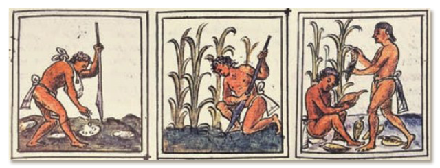 Principios de la empresa.