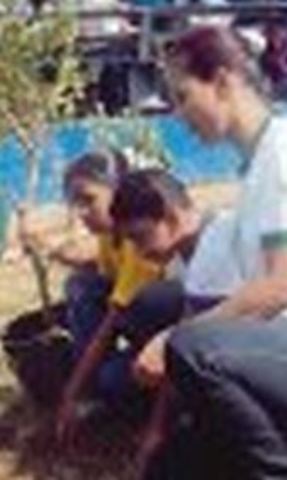 Segunda mitad de la década de los 90