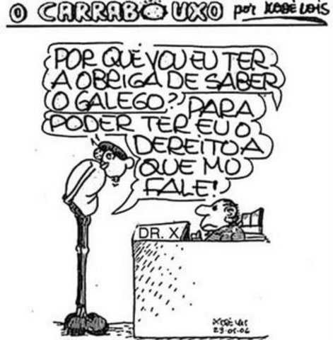 O galego incorporase como lingua vehicular