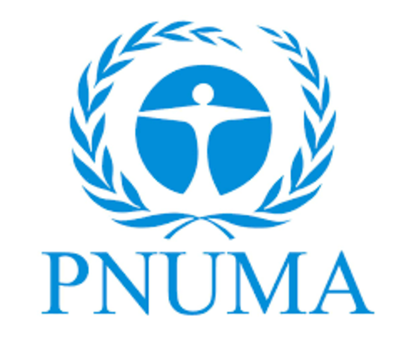 Creación del Programa de Naciones Unidas para el Medio Ambiente