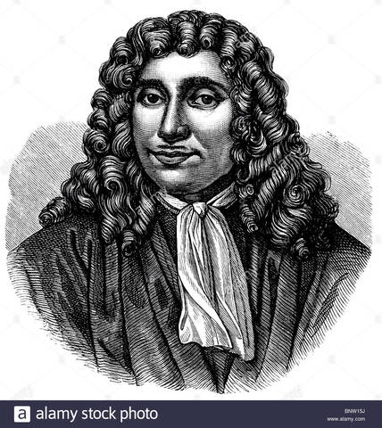 ANTHONY LEEWENHOEK