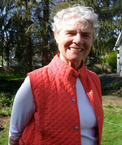 Teoría del confort: Katharine Kolcaba