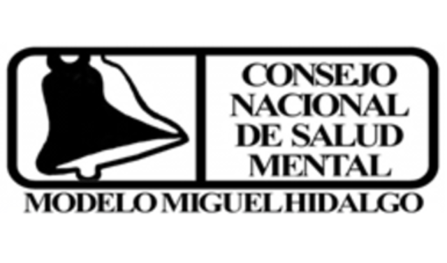 Directora General del Secretariado Técnico del Consejo Nacional de Salud Mental