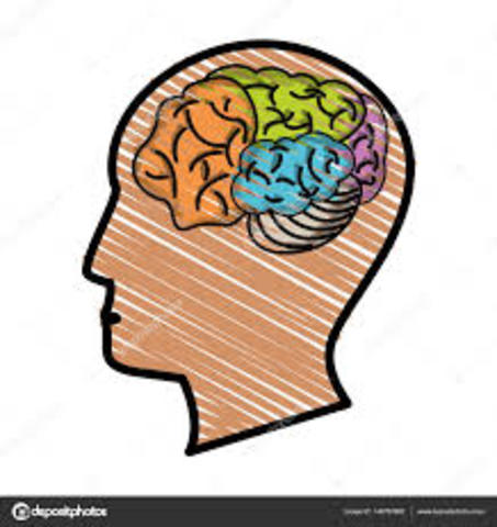 Presentación de Cráneo Primitivo