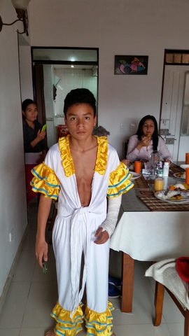 FESTIVAL DE DANZAS 2016