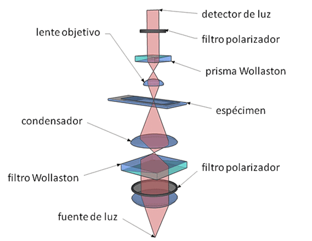 microscopio de contraste por interferencia diferencial