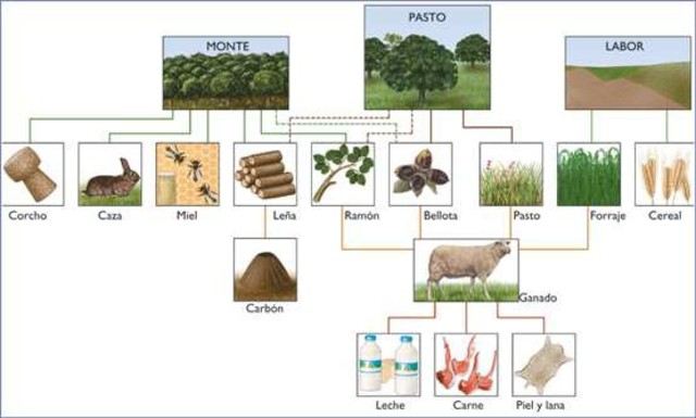 Bomba de la Población