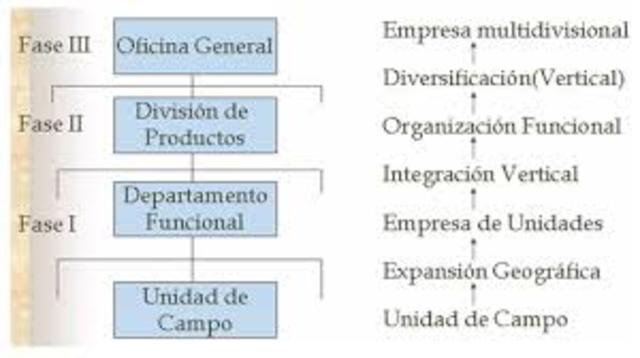 Fases de Desarrollo Organizacional