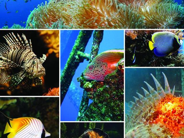 LA ECOLOGÍA MODERNA