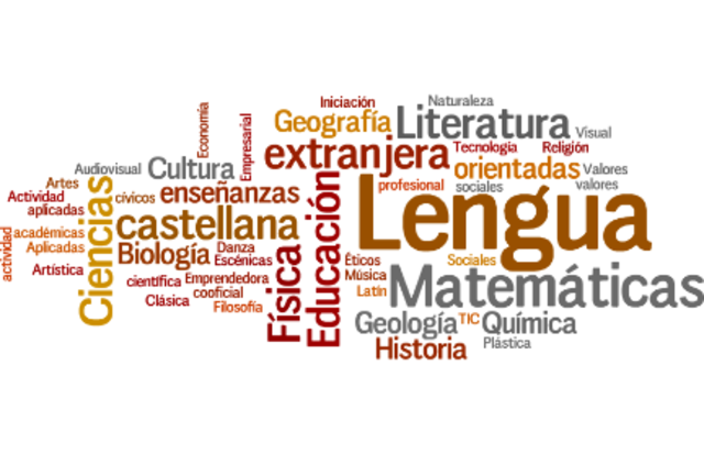 Principios generales sobre currículo