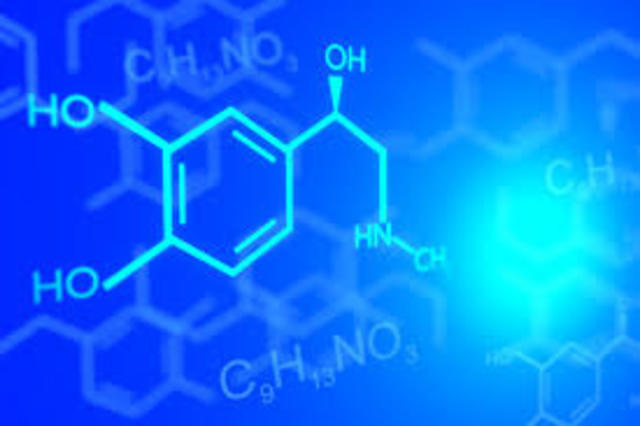 Inicio de la Química