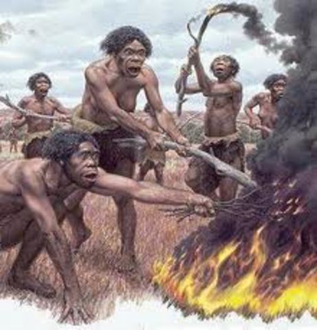 Descubrimiento del fuego.