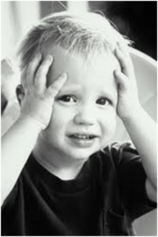 AMBIVALENCIA SIGLO ( XIV-XVII)