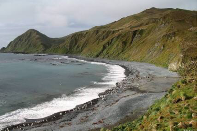 Discovery of Macquarie island