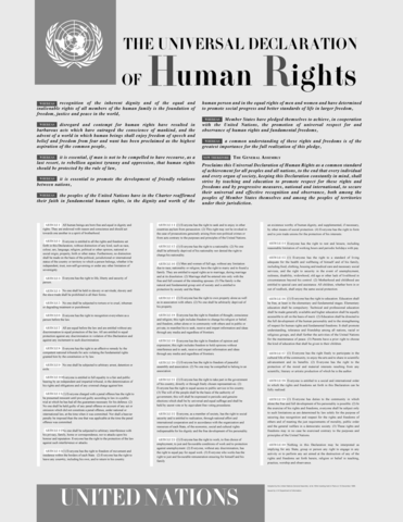 Declaracion Universal de los Derechos Humanos